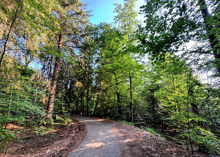 Sainthubert_monument_roi_albert©MTFSH_TEXTO_Pascal_Willems_(127)