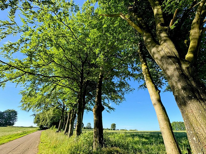 Promenade-entre-vierre-et-ourthe©MTFSH_TEXTO_Pascal_Willems_(62)