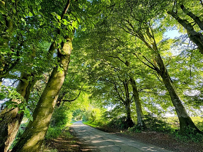 Promenade-entre-vierre-et-ourthe©MTFSH_TEXTO_Pascal_Willems_(81)