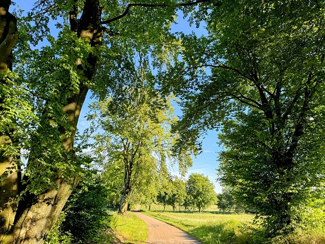 Promenade-entre-vierre-et-ourthe©MTFSH_TEXTO_Pascal_Willems_(98)