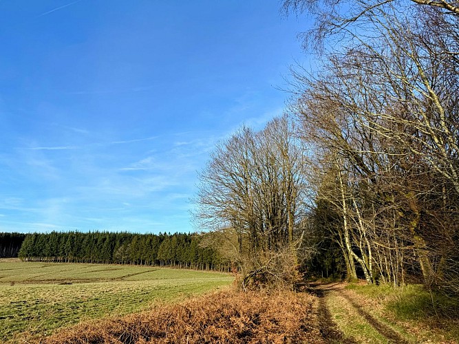 Vesqueville©MTFSH_TEXTO_Pascal_Willems_(4)