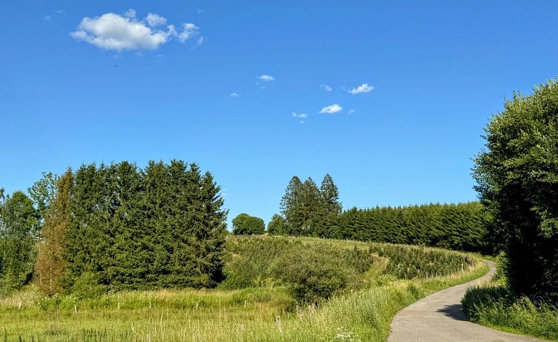 Libramont_promenade_des_tchets©MTFSH-TEXTO_Pascal_Willems_(66)
