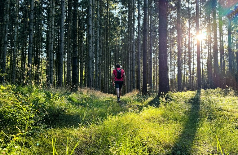 Libramont_promenade_des_tchets©MTFSH-TEXTO_Pascal_Willems_(36)
