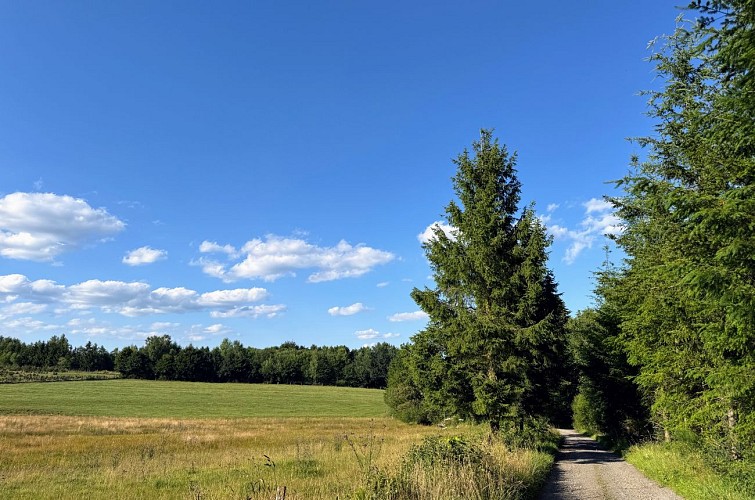 Libramont_promenade_des_tchets©MTFSH-TEXTO_Pascal_Willems_(8)