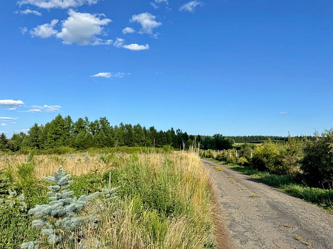Libramont_promenade_des_tchets©MTFSH-TEXTO_Pascal_Willems_(65)