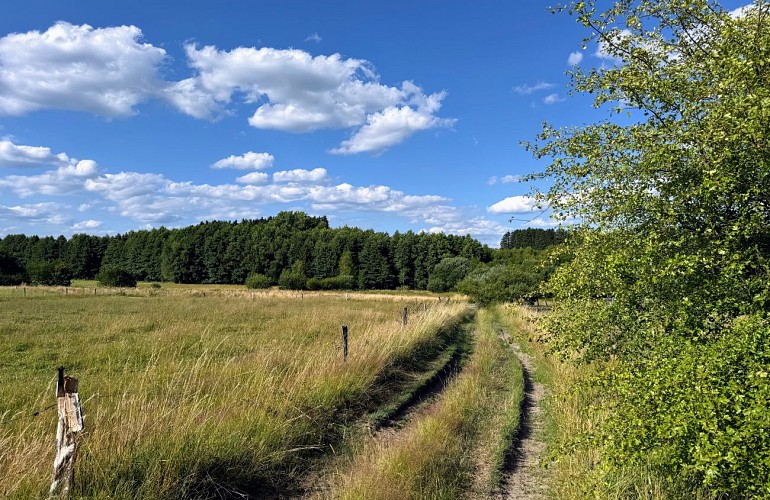Libramont_promenade_des_tchets©MTFSH-TEXTO_Pascal_Willems_(57)