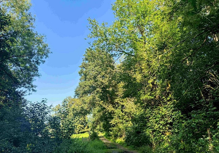 Tenneville_promenade_de_lourthe©MTFSH-TEXTO_Pascal_Willems_(30)