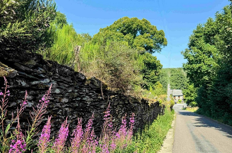 Tenneville_promenade_de_lourthe©MTFSH-TEXTO_Pascal_Willems_(19)