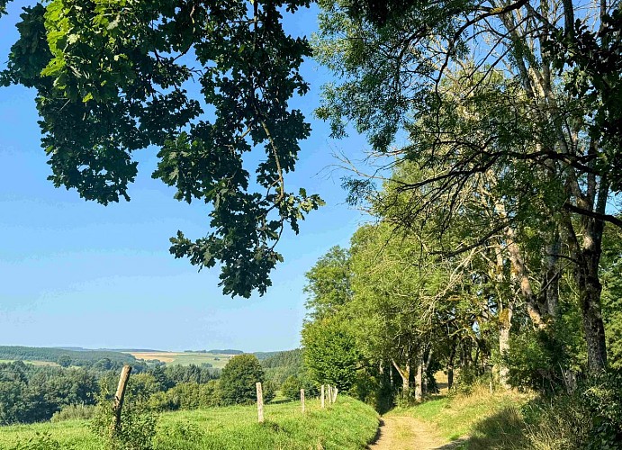 Tenneville_promenade_de_lourthe©MTFSH-TEXTO_Pascal_Willems_(77)