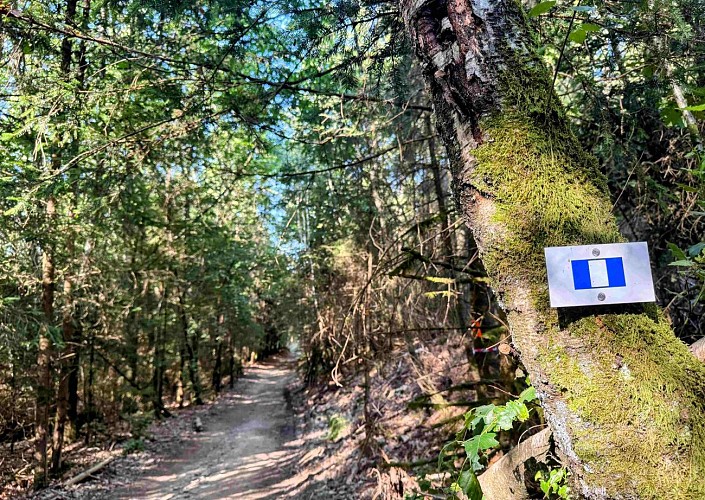 Tenneville_promenade_de_lourthe©MTFSH-TEXTO_Pascal_Willems_(80)