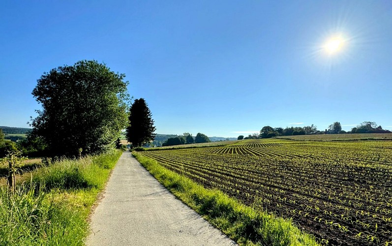 Promenade-arville-sainthubert©MTFSH TEXTO Pascal Willems (251)