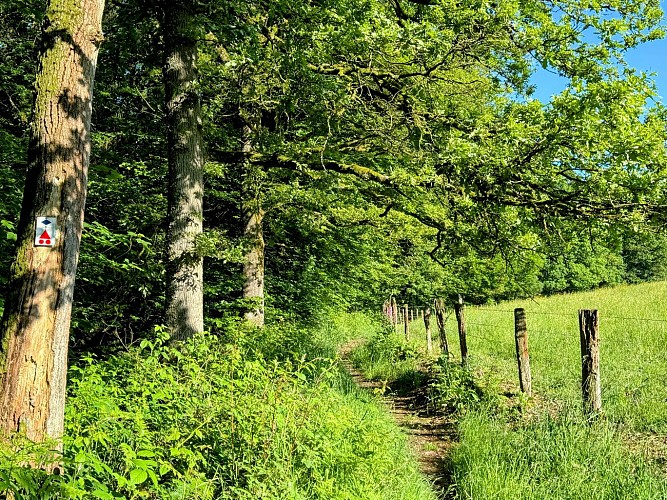 Promenade-arville-sainthubert©MTFSH TEXTO Pascal Willems (200)
