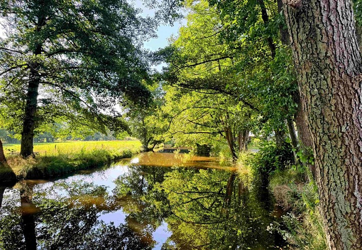 Tenneville_promenade_des_moulins©MTFSH-TEXTO_Pascal_Willems_(58)