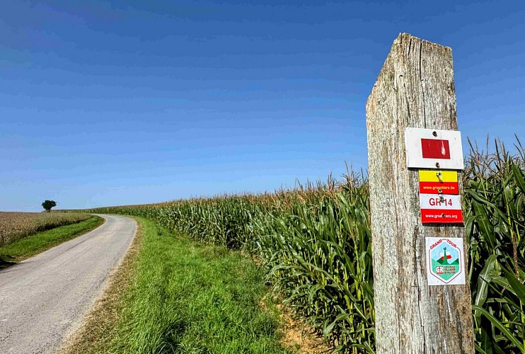Tenneville_promenade_des_moulins©MTFSH-TEXTO_Pascal_Willems_(29)