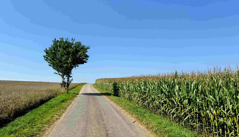 Tenneville_promenade_des_moulins©MTFSH-TEXTO_Pascal_Willems_(53)