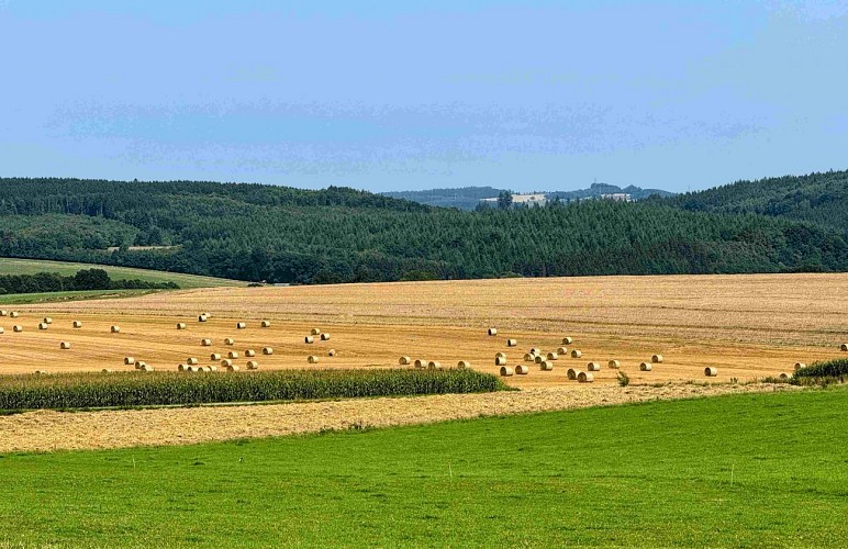 Tenneville_promenade_des_moulins©MTFSH-TEXTO_Pascal_Willems_(26)
