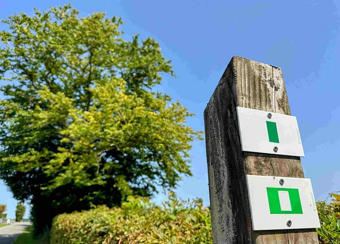 Tenneville_promenade_de_la_falize©MTFSH-TEXTO_Pascal_Willems_(21)