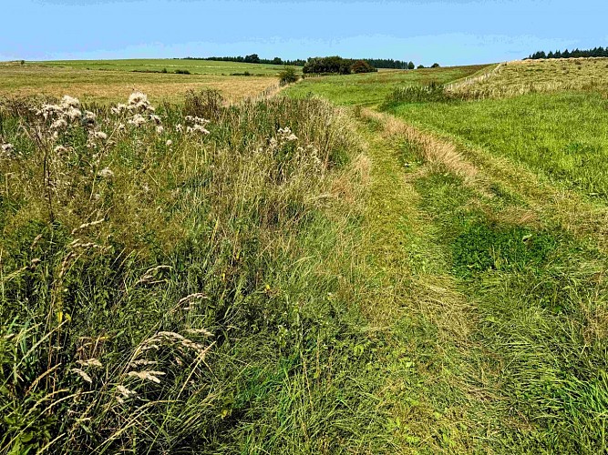 Tenneville_promenade_de_la_falize©MTFSH-TEXTO_Pascal_Willems_(58)