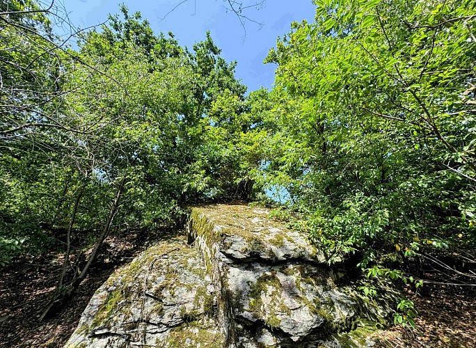 Tenneville_promenade_de_la_falize©MTFSH-TEXTO_Pascal_Willems_(39)