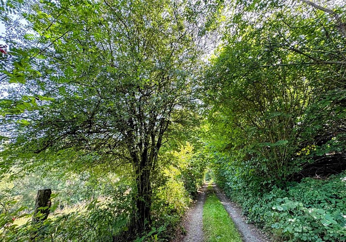 Tenneville_promenade_vieille_eglise©MTFSH-TEXTO_Pascal_Willems_(113)