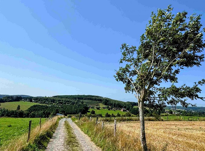 Tenneville_promenade_vieille_eglise©MTFSH-TEXTO_Pascal_Willems_(100)