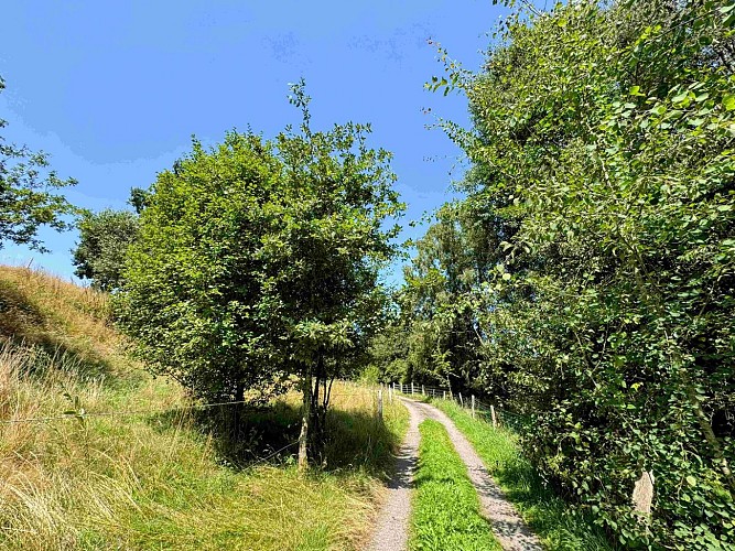 Tenneville_promenade_vieille_eglise©MTFSH-TEXTO_Pascal_Willems_(5)