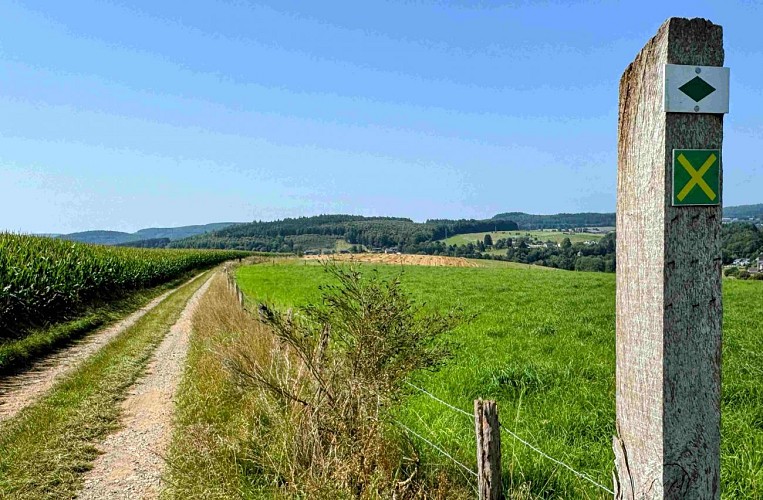 Tenneville_promenade_vieille_eglise©MTFSH-TEXTO_Pascal_Willems_(98)