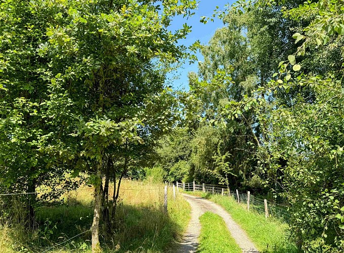 Tenneville_promenade_vieille_eglise©MTFSH-TEXTO_Pascal_Willems_(111)