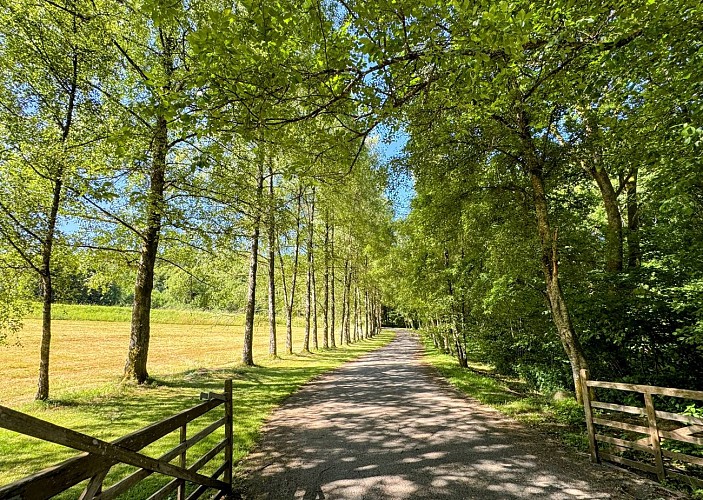 Sainthubert_promenade_val_de_poix©MTFSH-TEXTO_Pascal_Willems_(52)