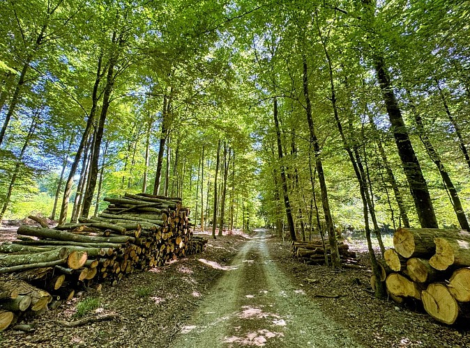 Sainthubert_promenade_ste_adeline_et_centrale_hydro_poix_©MTFSH_TEXTO_Pasca (7)