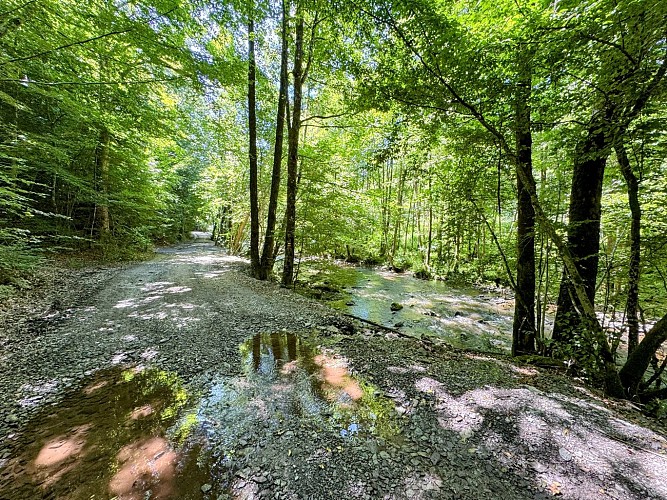 Sainthubert_promenade_ste_adeline_et_centrale_hydro_poix_©MTFSH_TEXTO_Pasca (4)