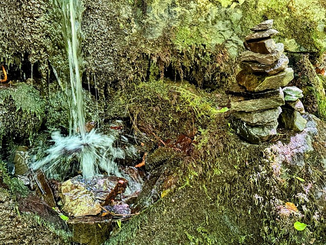 Sainthubert_promenade_ste_adeline_et_centrale_hydro_poix_©MTFSH_TEXTO_Pasca (5)