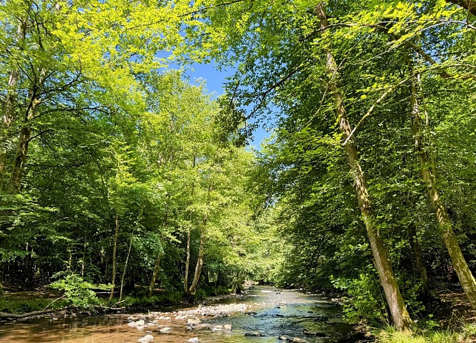 Sainthubert_promenade_ste_adeline_et_centrale_hydro_poix_©MTFSH_TEXTO_Pasca (6)