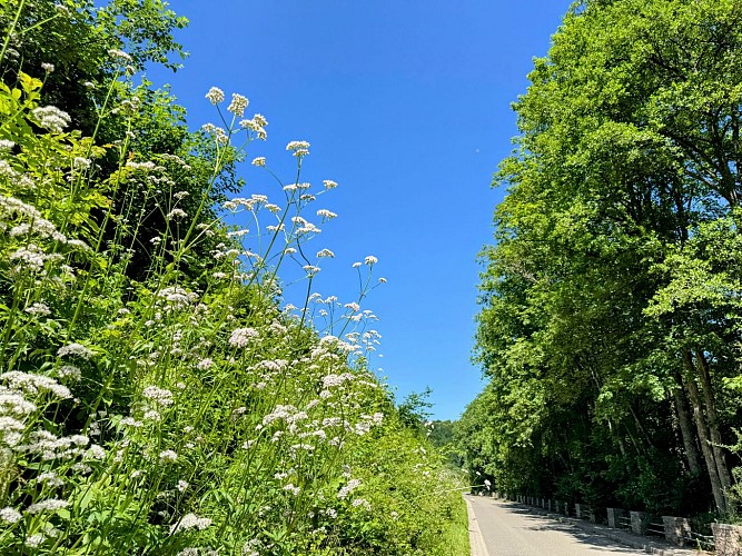 Sainthubert_promenade_ste_adeline_et_centrale_hydro_poix_©MTFSH_TEXTO_Pasca (1)