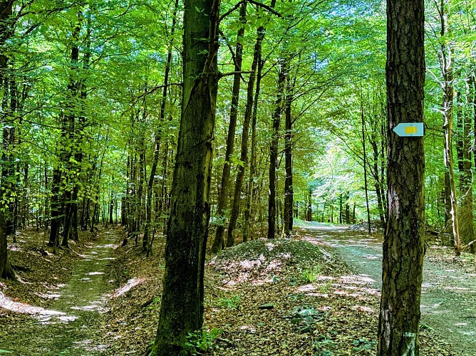 Sainthubert_promenade_ste_adeline_et_centrale_hydro_poix_©MTFSH_TEXTO_Pasca (8)