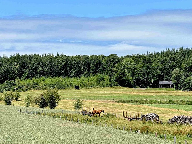 Sainthubert_promenade_cheni_du_mont_©_MTFSH_TEXTO_Pascal_Willems_(26)