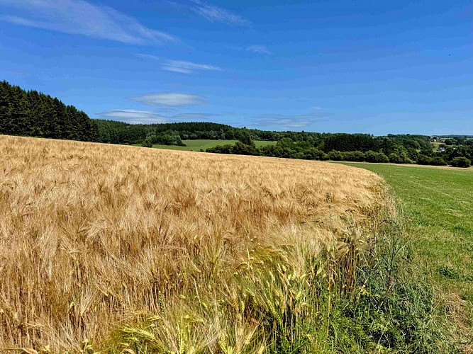 Sainthubert_promenade_cheni_du_mont_©_MTFSH_TEXTO_Pascal_Willems_(16)