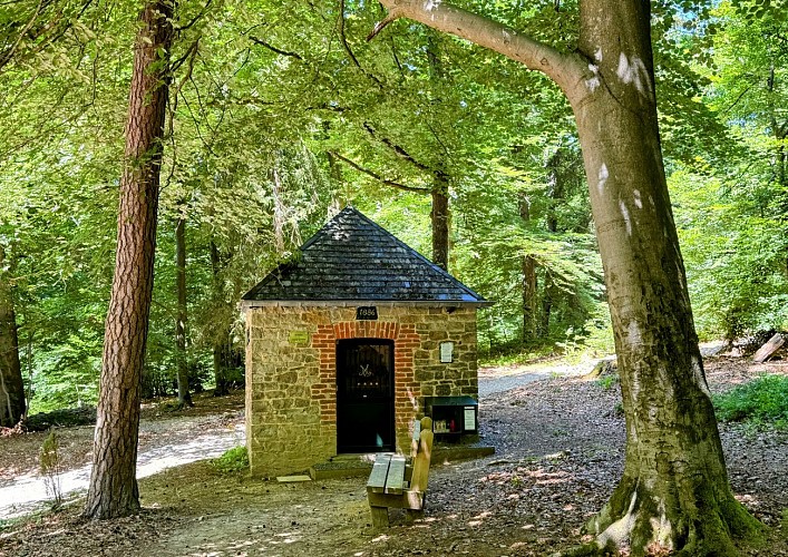 Sainthubert_promenade_cheni_du_mont_©_MTFSH_TEXTO_Pascal_Willems_(66)