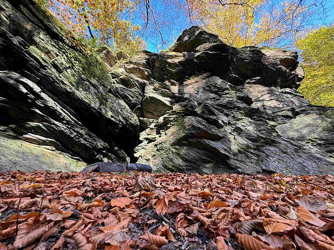 Sainthubert_thier_de_gobaille©MTFSH-TEXTO Pascal Willems (2)