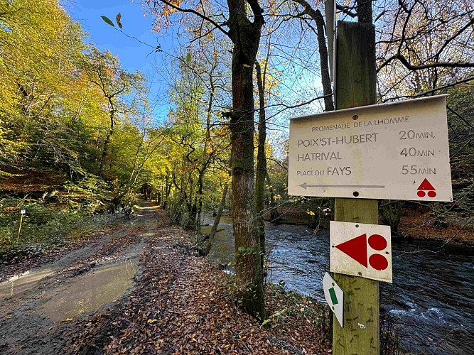 Sainthubert_thier_de_gobaille©MTFSH-TEXTO Pascal Willems (70)