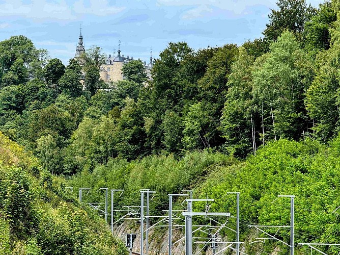 Sainthubert_thier_de_gobaille©MTFSH-TEXTO Pascal Willems (54)