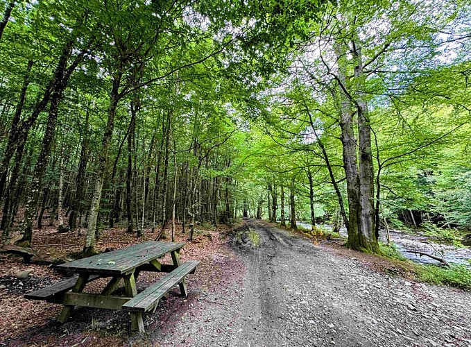 Sainthubert_thier_de_gobaille©MTFSH-TEXTO Pascal Willems (74)