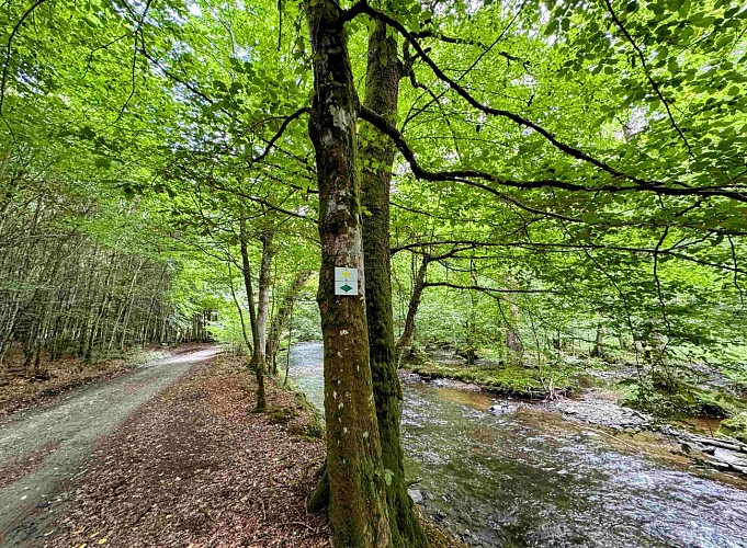 Sainthubert_thier_de_gobaille©MTFSH-TEXTO Pascal Willems (45)