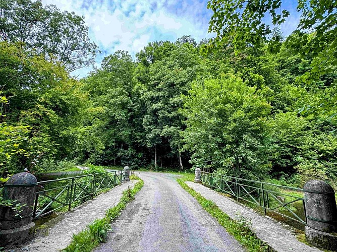 Sainthubert_thier_de_gobaille©MTFSH-TEXTO Pascal Willems (55)