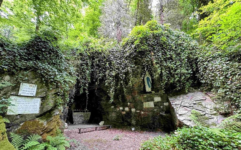 Sainthubert_promenade_awenne©MTFSH-TEXTO Pascal Willems (122)