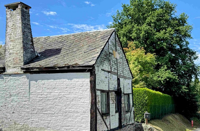 Sainthubert_promenade_awenne©MTFSH-TEXTO Pascal Willems (79)