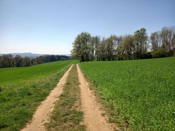Marche de la Division Margueritte - Ardenne Métropole