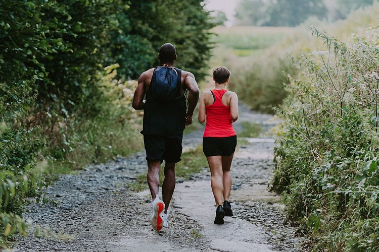 Balade de ferme en ferme à Buzet