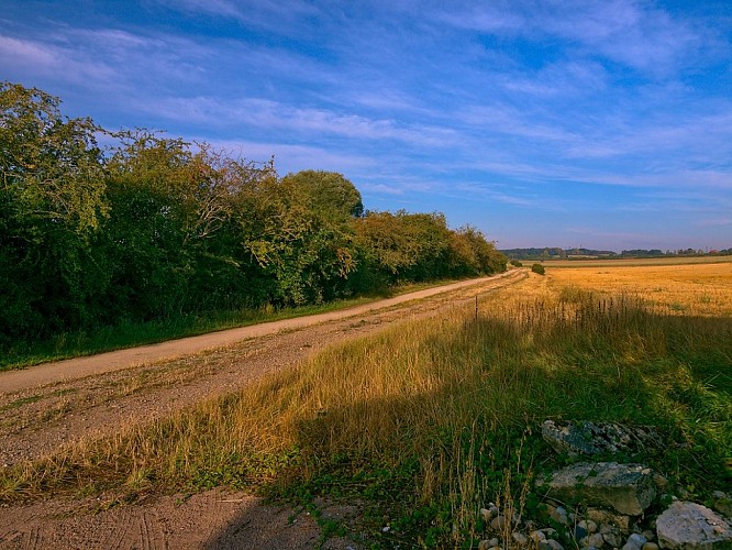Chemin sur le plateau