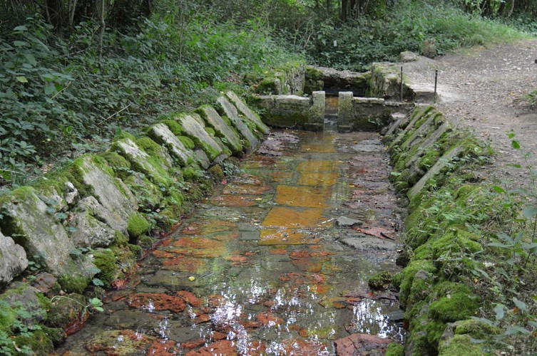 l precigou-otpm-fontainedefontadam-caunay-juillet2016 (8).JPG_2